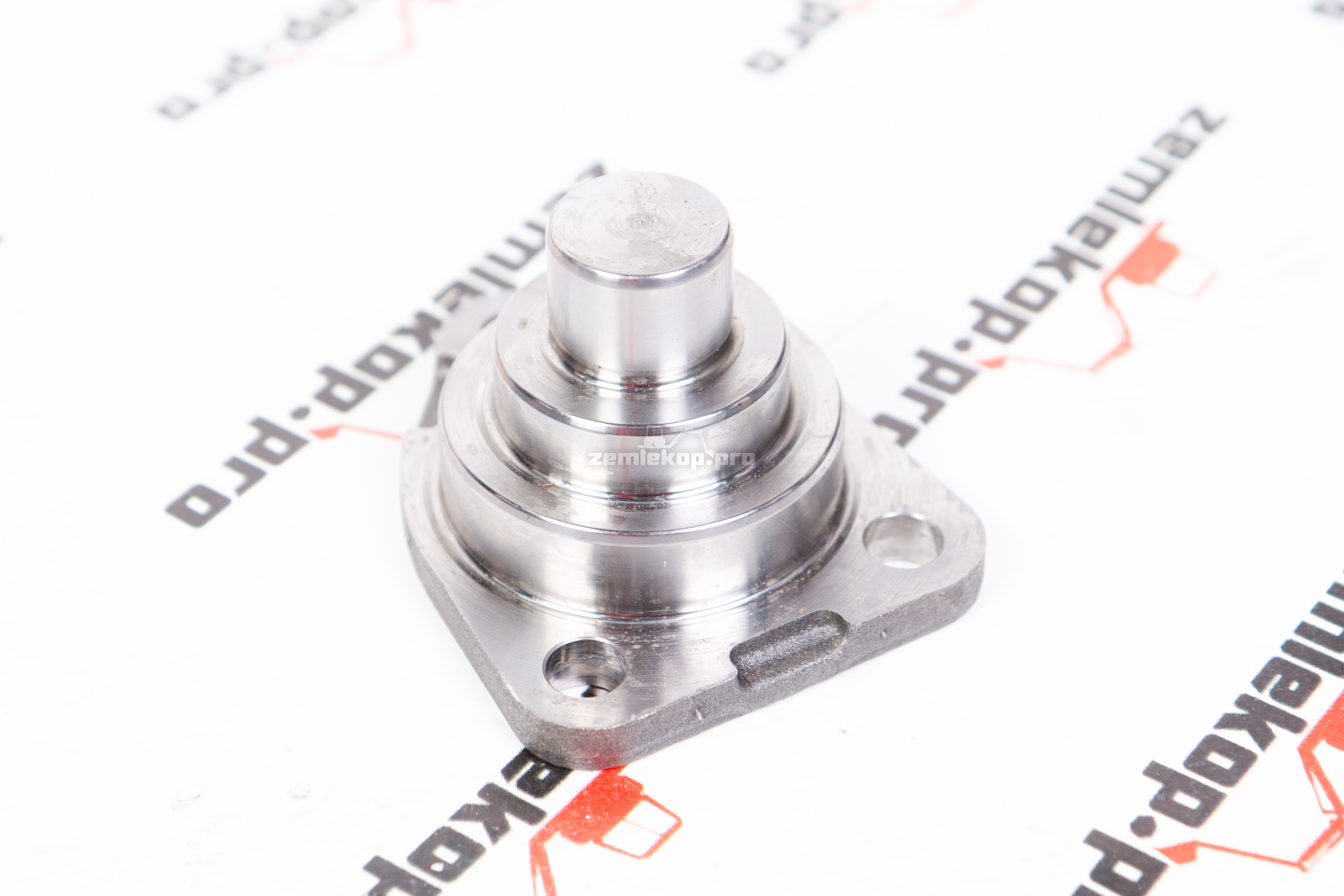 720.06.036.01 Шкворень DANA