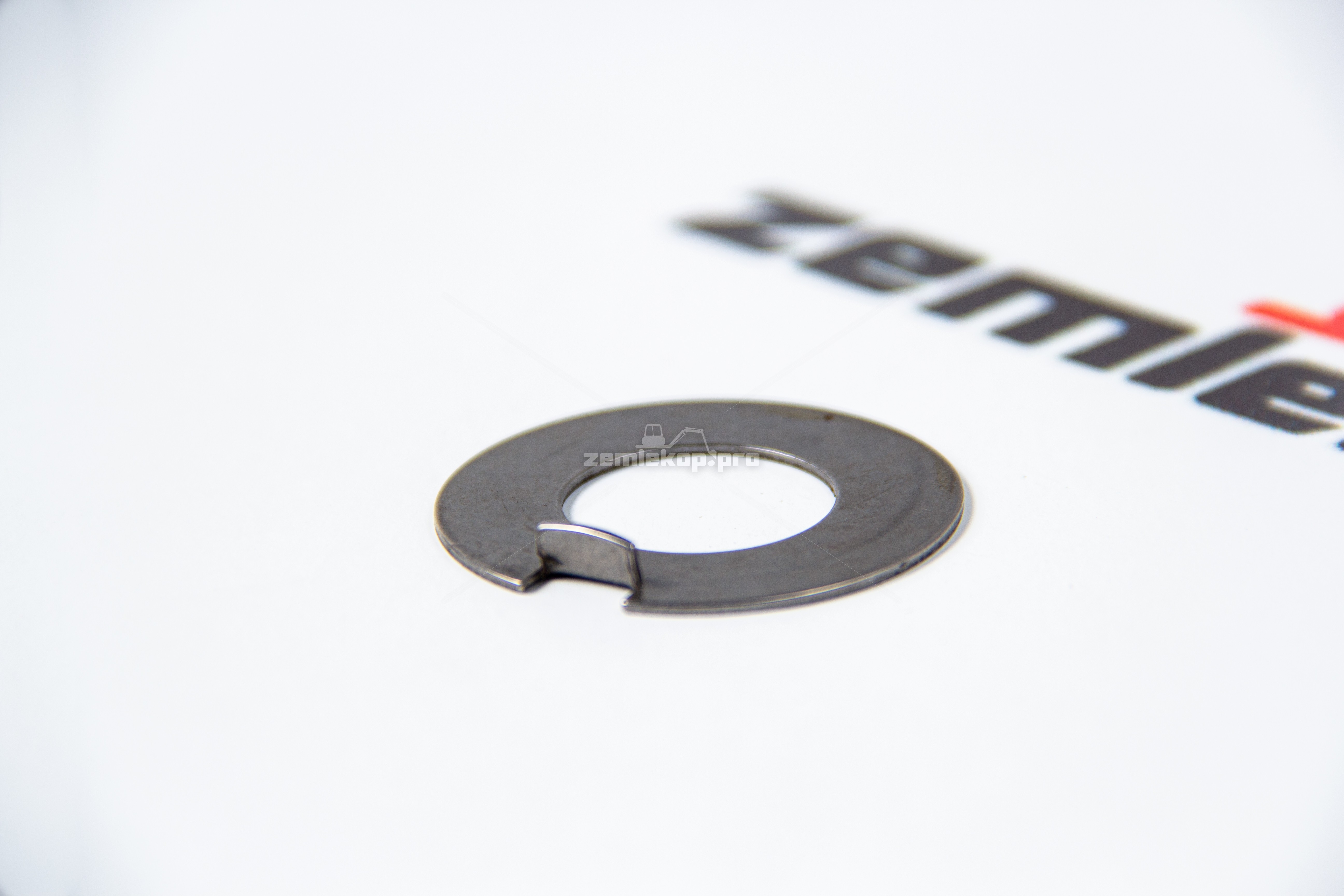 738.06.009.02 Шайба DANA