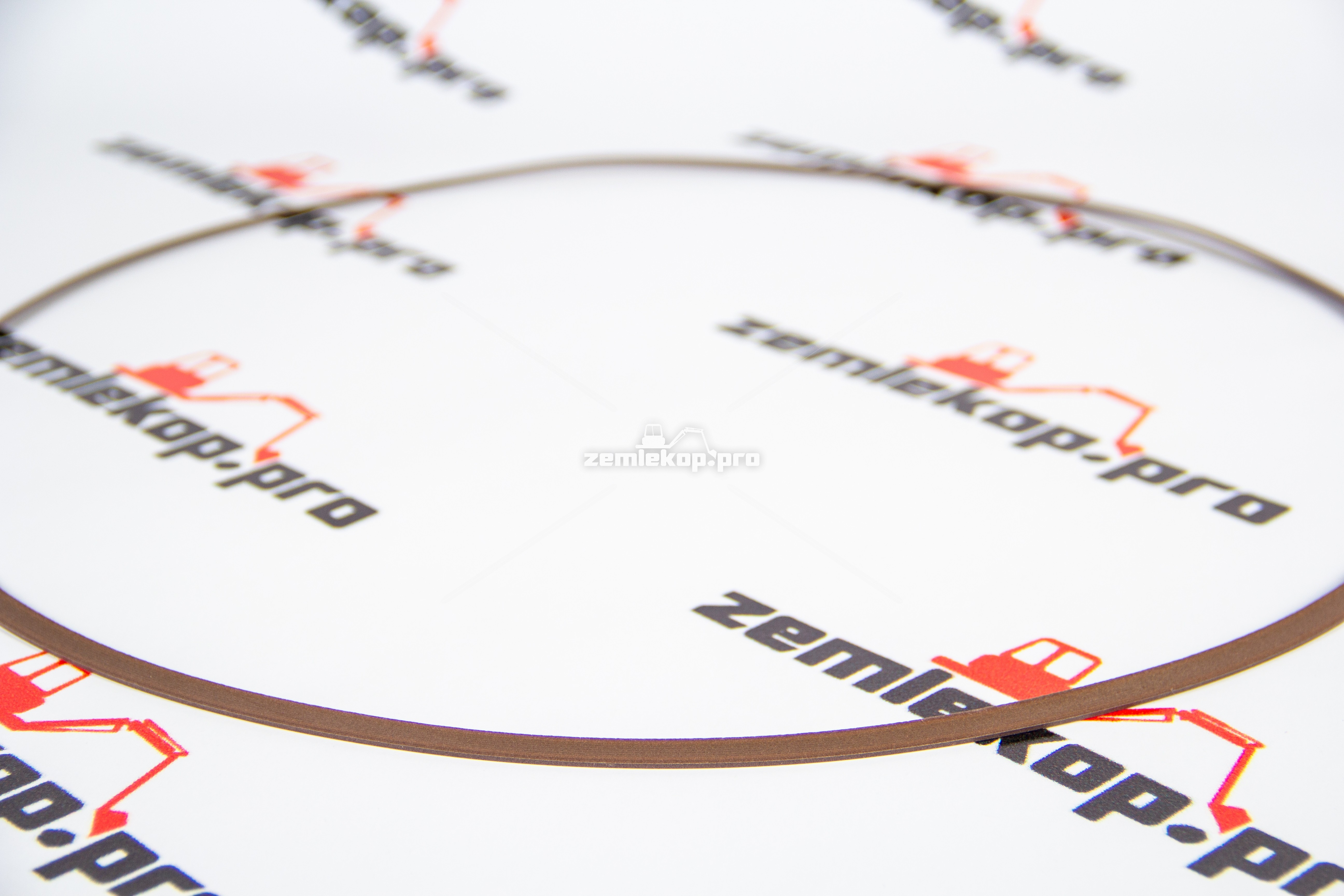 0501335109 Кольцо поддерживающее ZF;50MP-T043