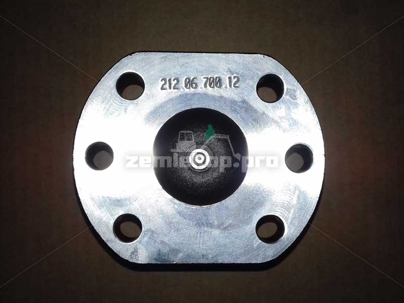 212.06.700.12 Набор шкворня DANA