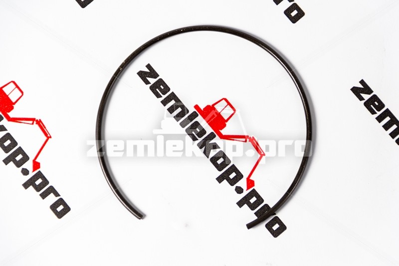 111.06.019.01 Стопорное кольцо DANA