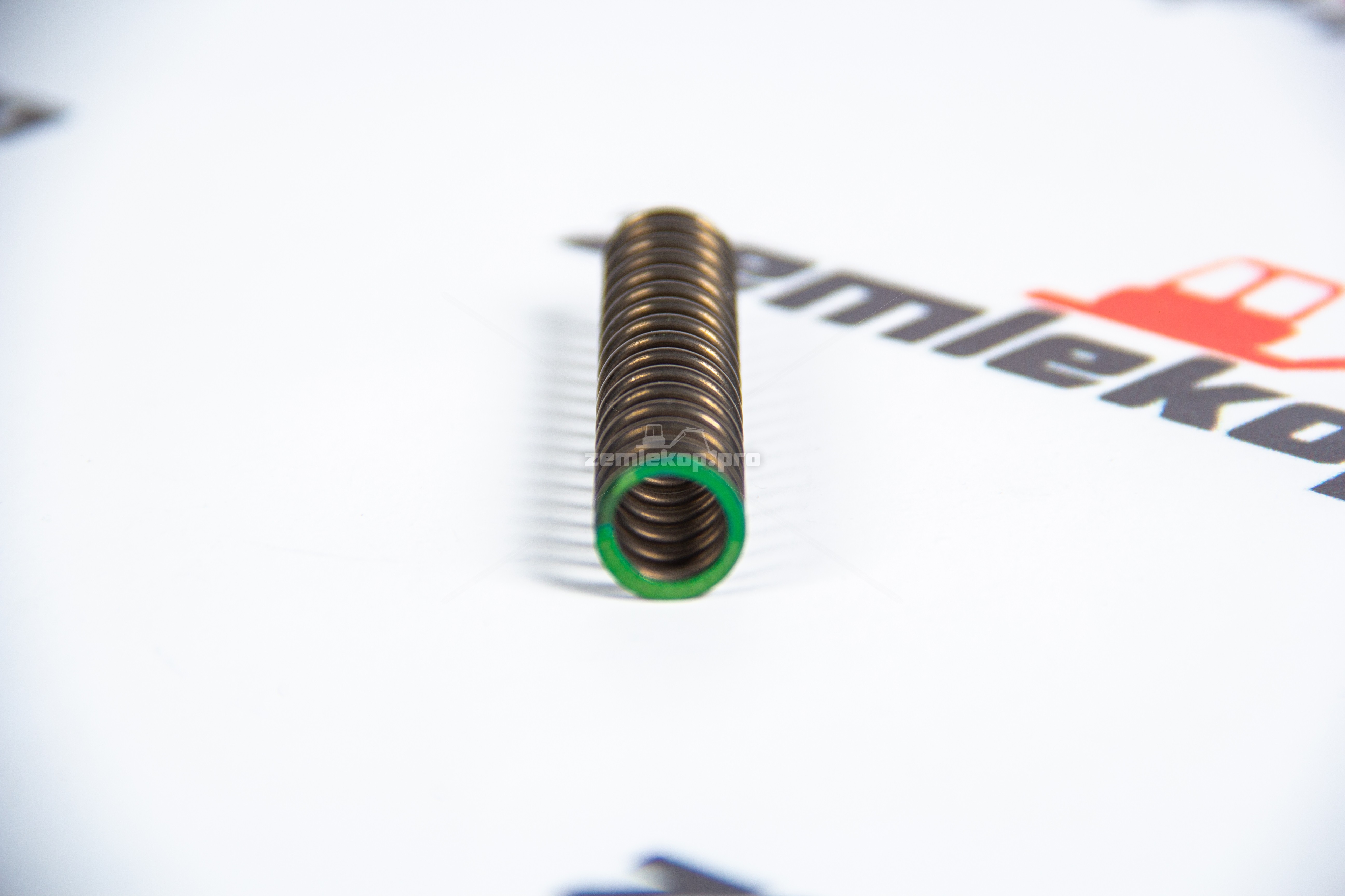 246594 Пружина DANA