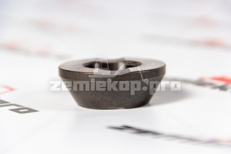 211.06.031.02 Кольцо DANA