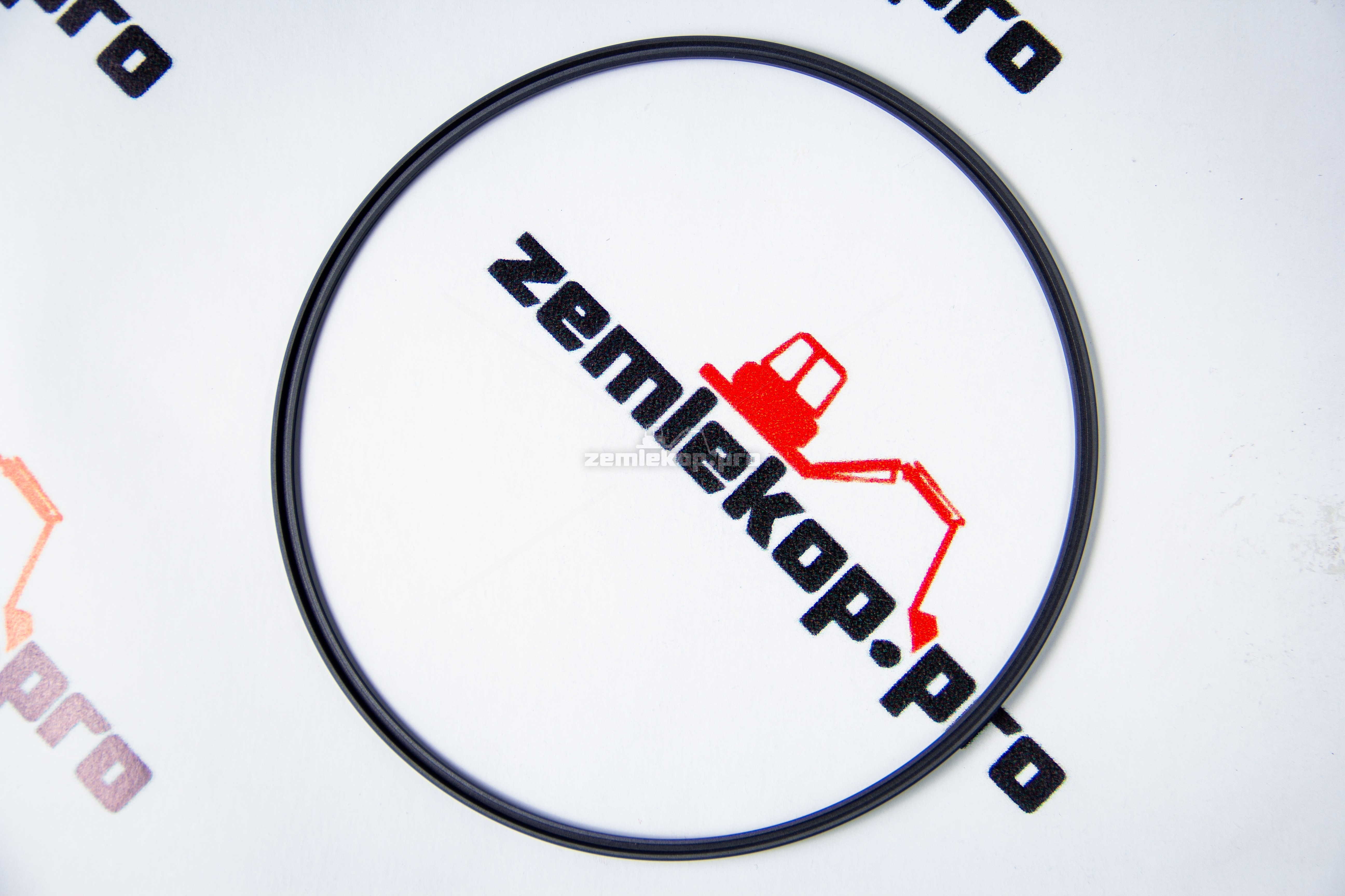 4207417 Уплотнительное кольцо DANA