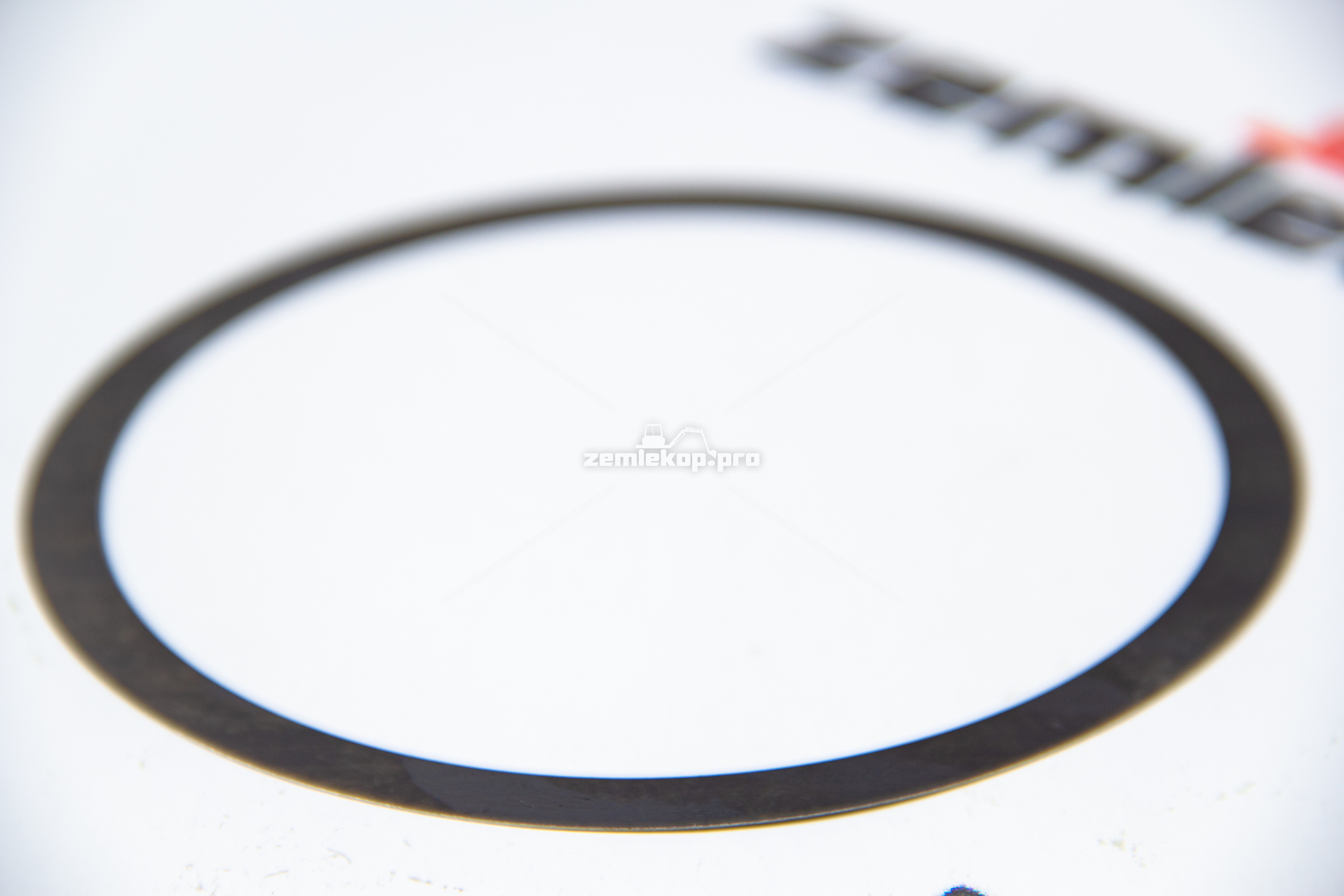 013.01.4818 Шайба DANA