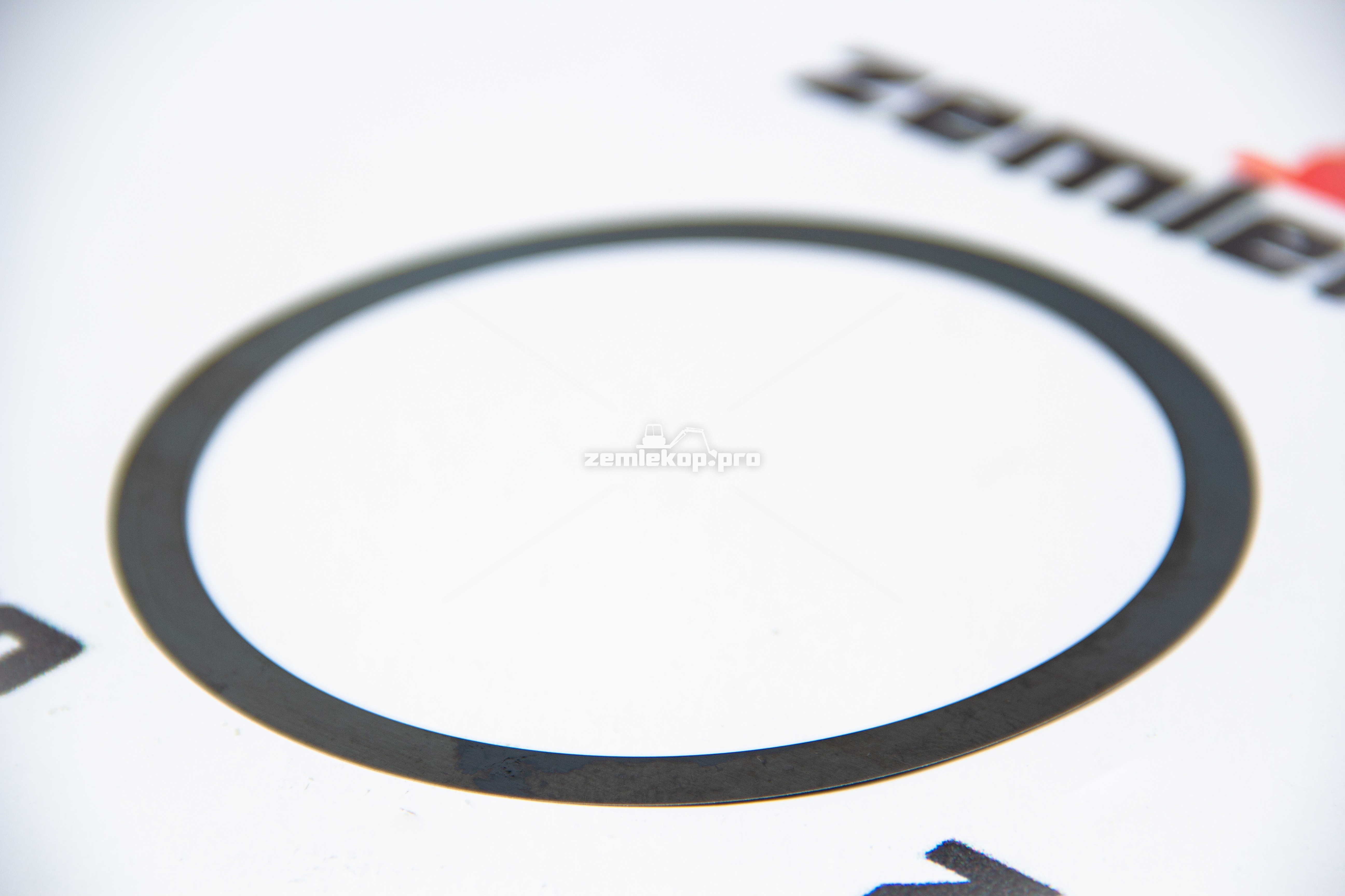 013.01.3831 Прокладка DANA