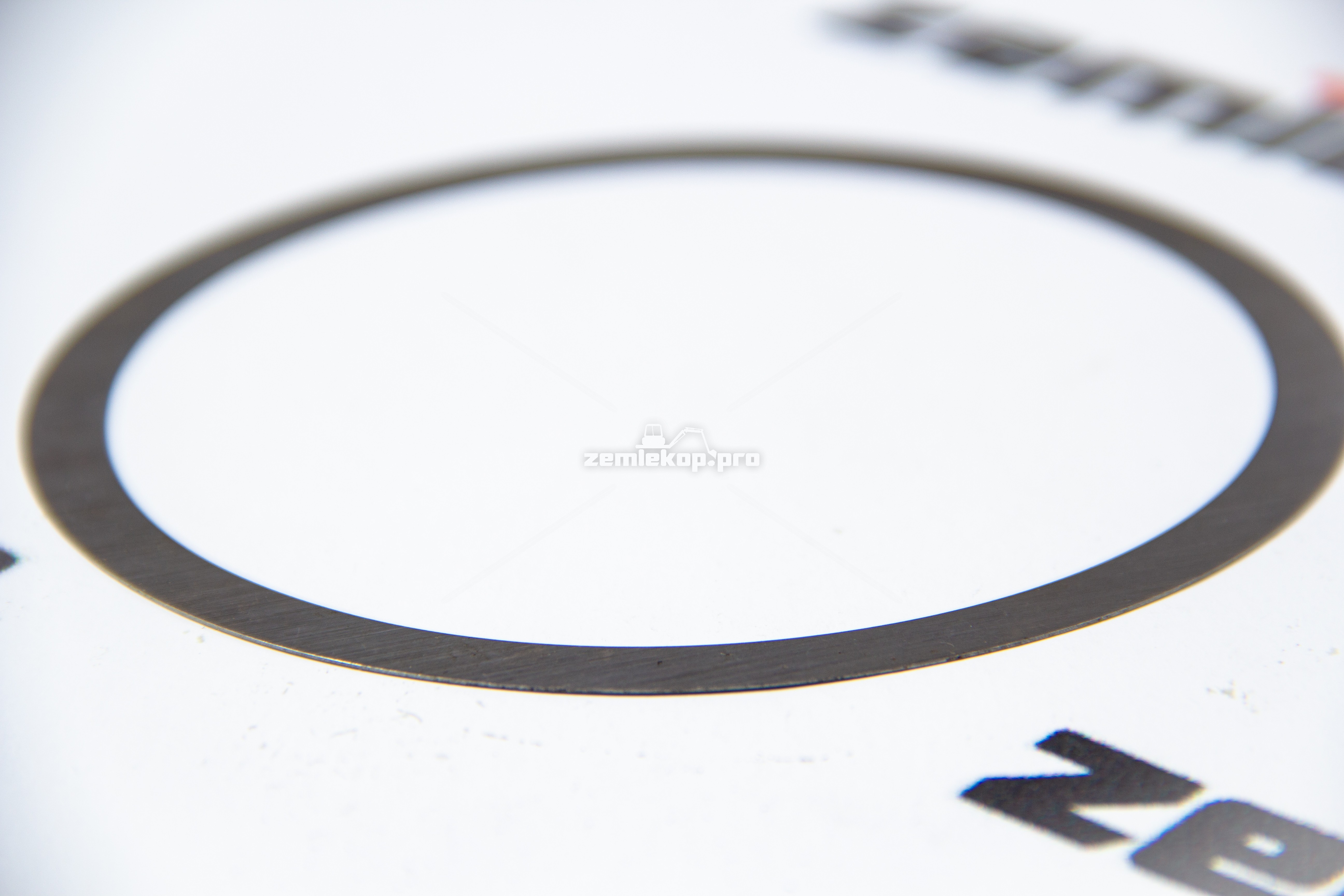 013.01.4819 Шайба DANA