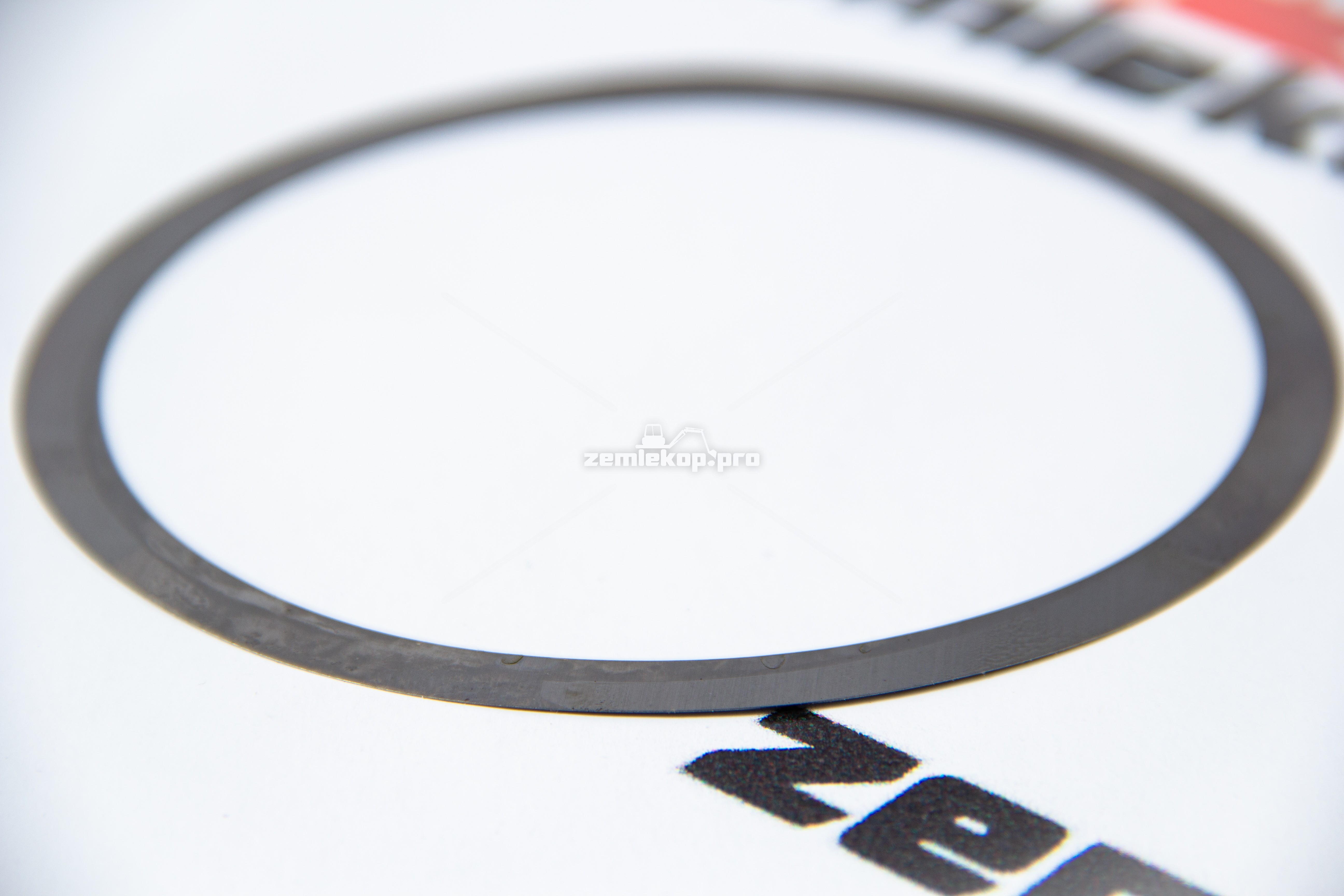 013.01.4817 Шайба DANA