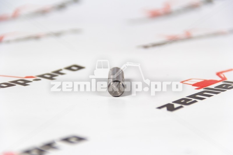 237084 Палец DANA