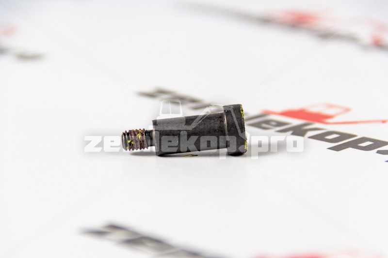 112.07.037.10 Регулировочный болт DANA