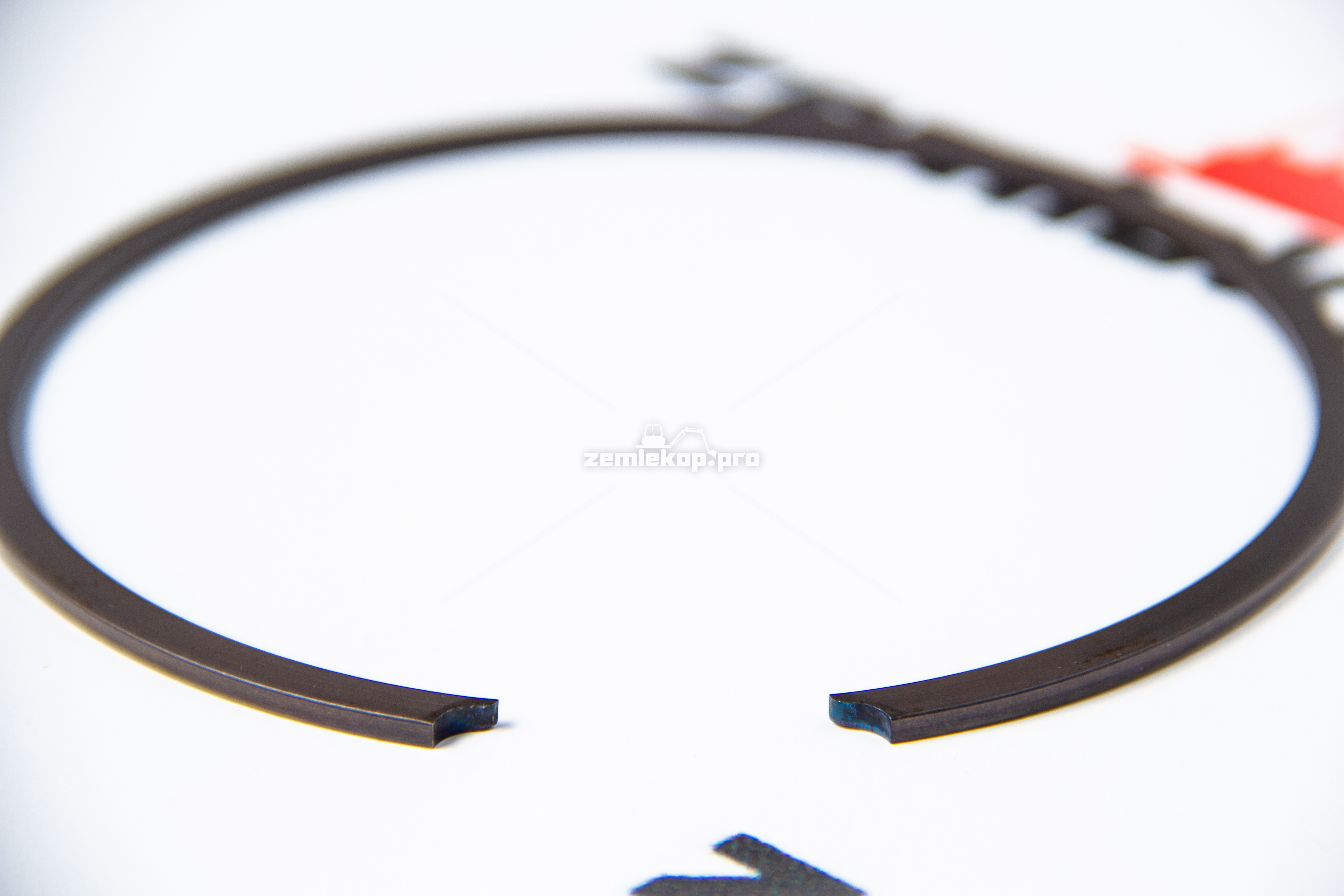 223982 Кольцо DANA