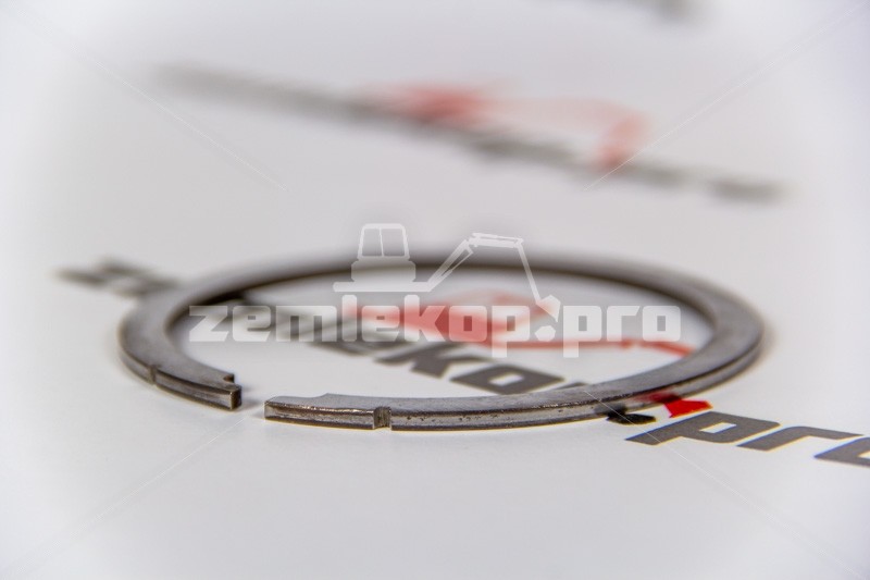 246841 Шайба DANA