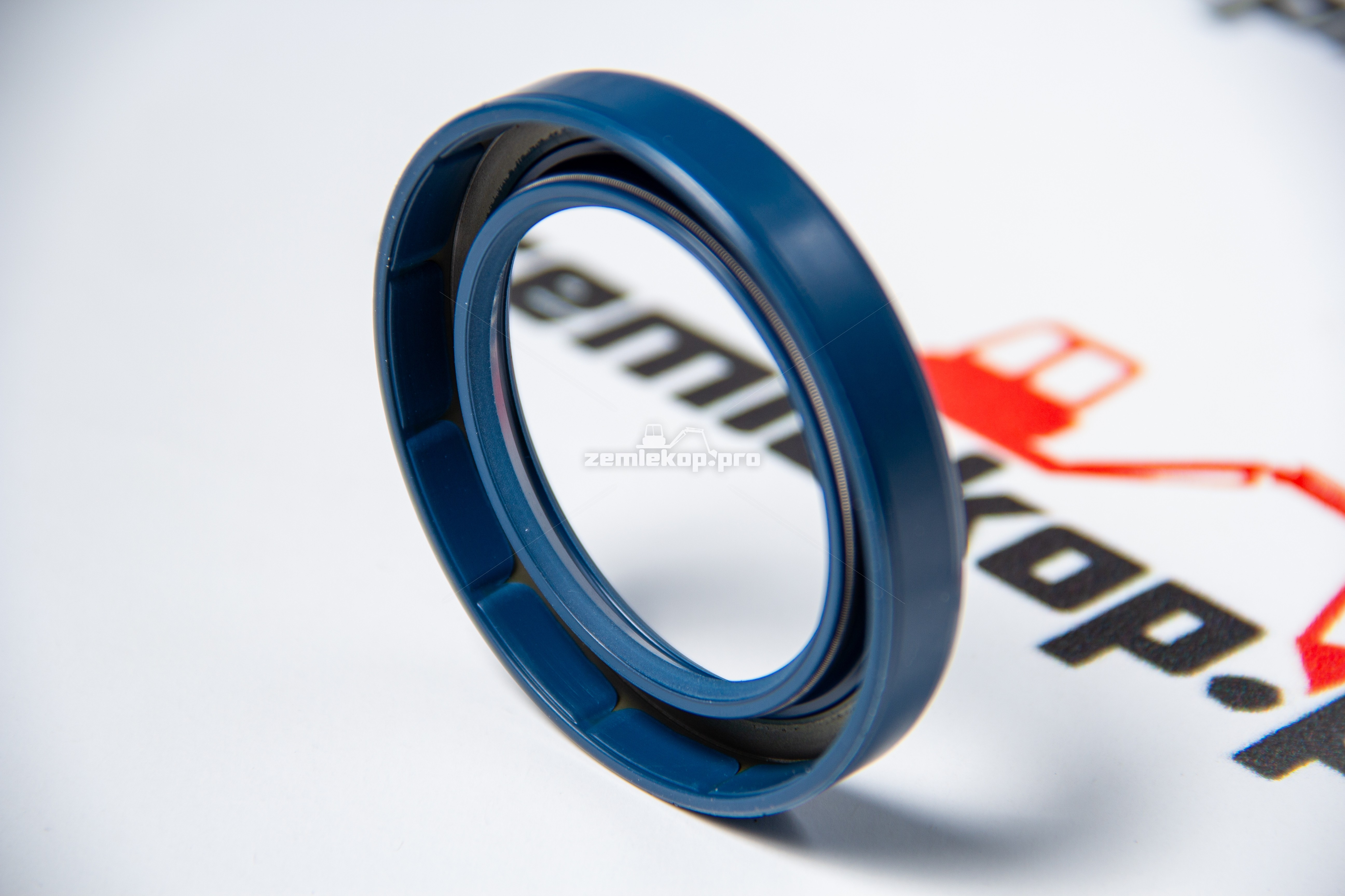 725.01.031.01 Сальник DANA