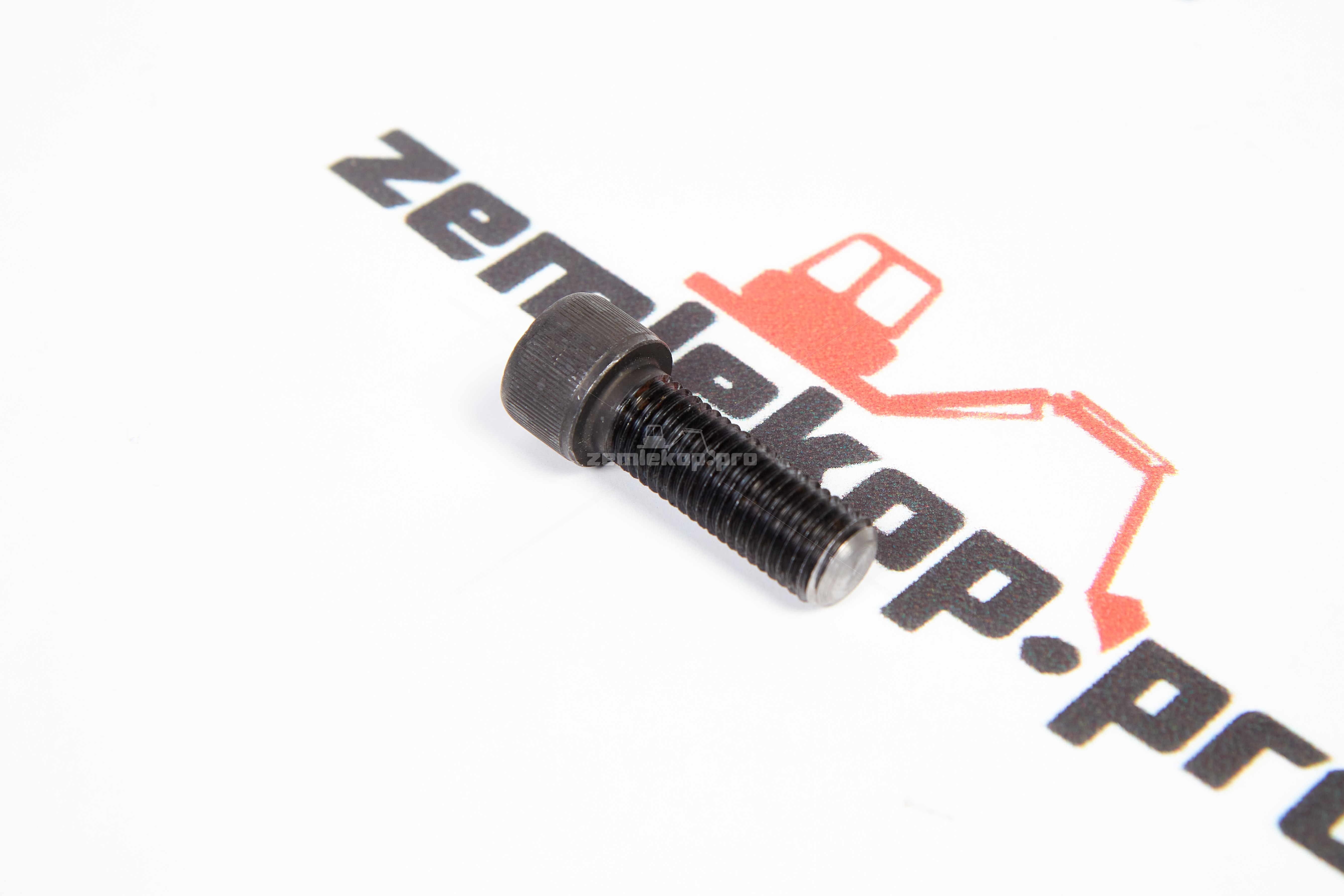 120704-00058 ZF Гайка