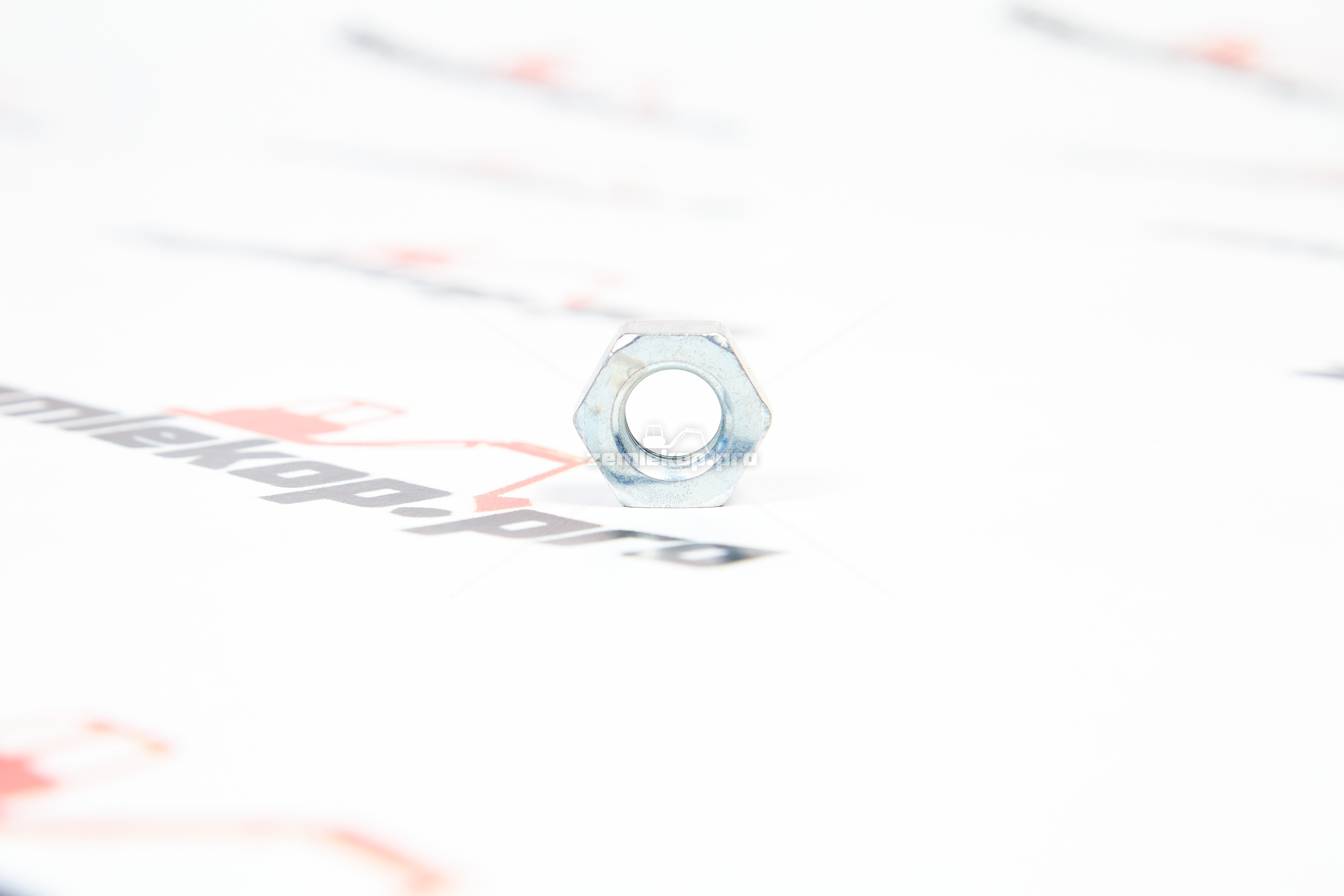 120312-00667 ZF Гайка