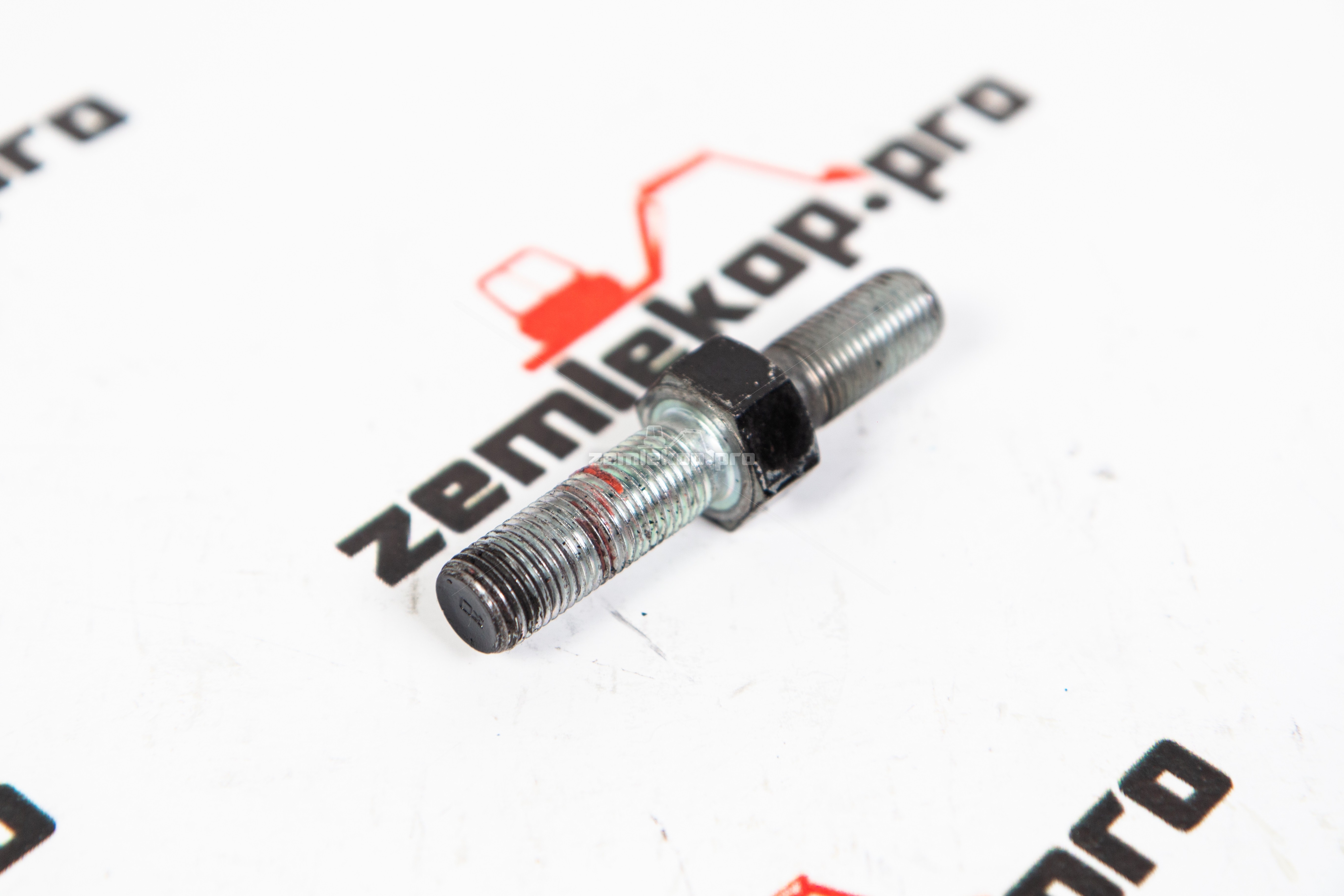 223.06.013.01-R  Шпилька DANA