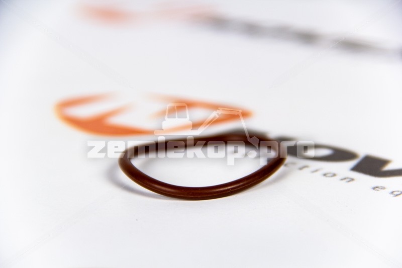 712W47101-2016+001 SITRAK Уплотнение круглое 46x3