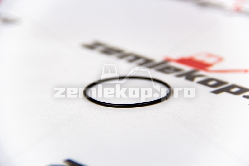 4208228 Кольцо DANA 4208228