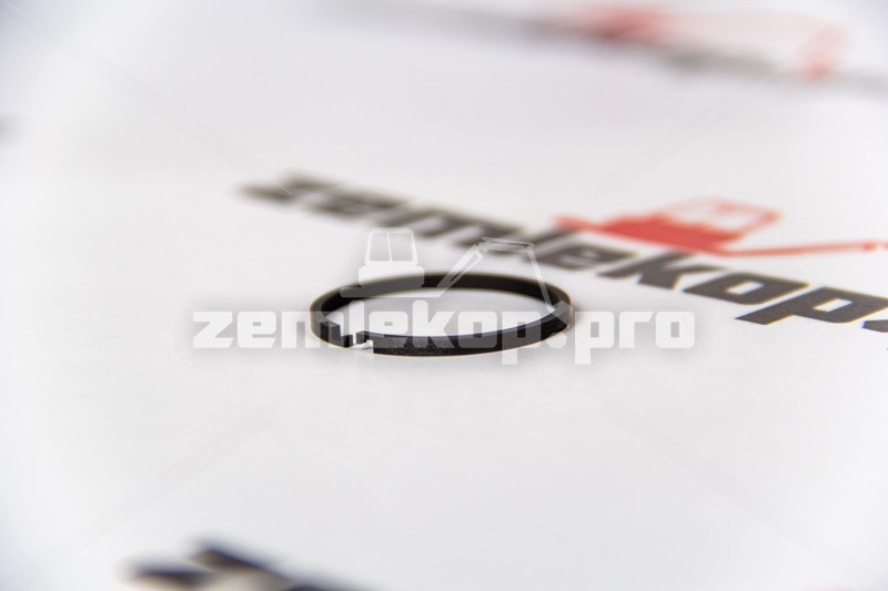 4209393 Кольцо DANA 4209393