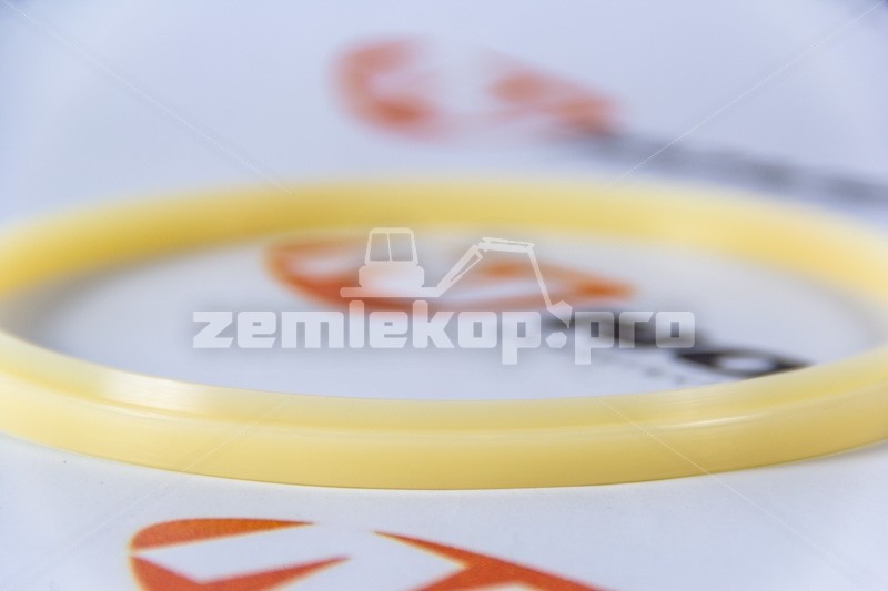 198-50-11171-ETP Сальник