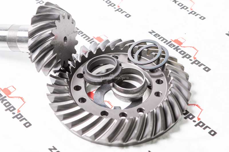 65596 Главная пара