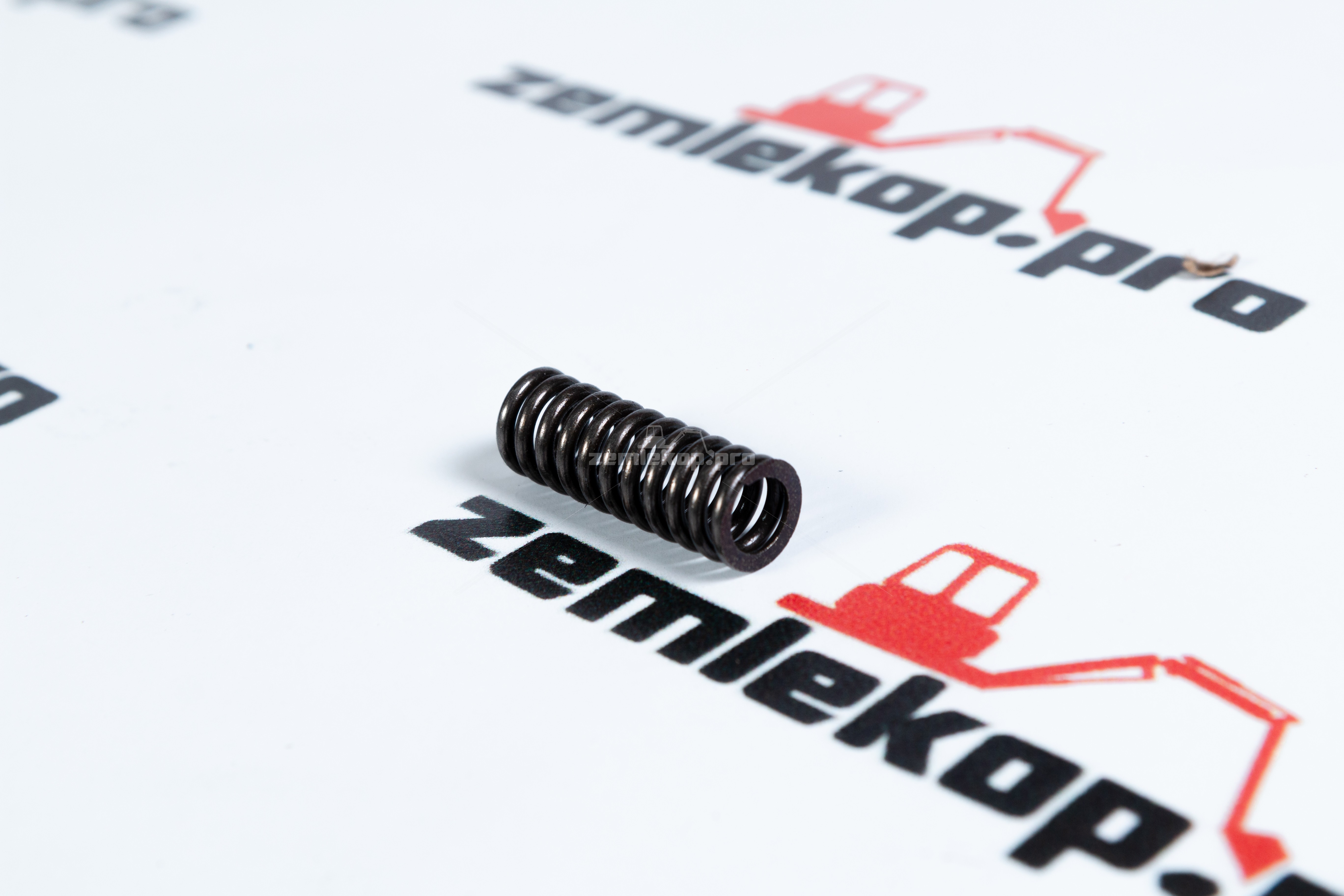 125209 Пружина