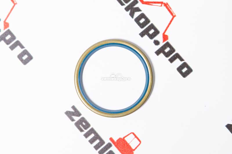 120717 Сальник