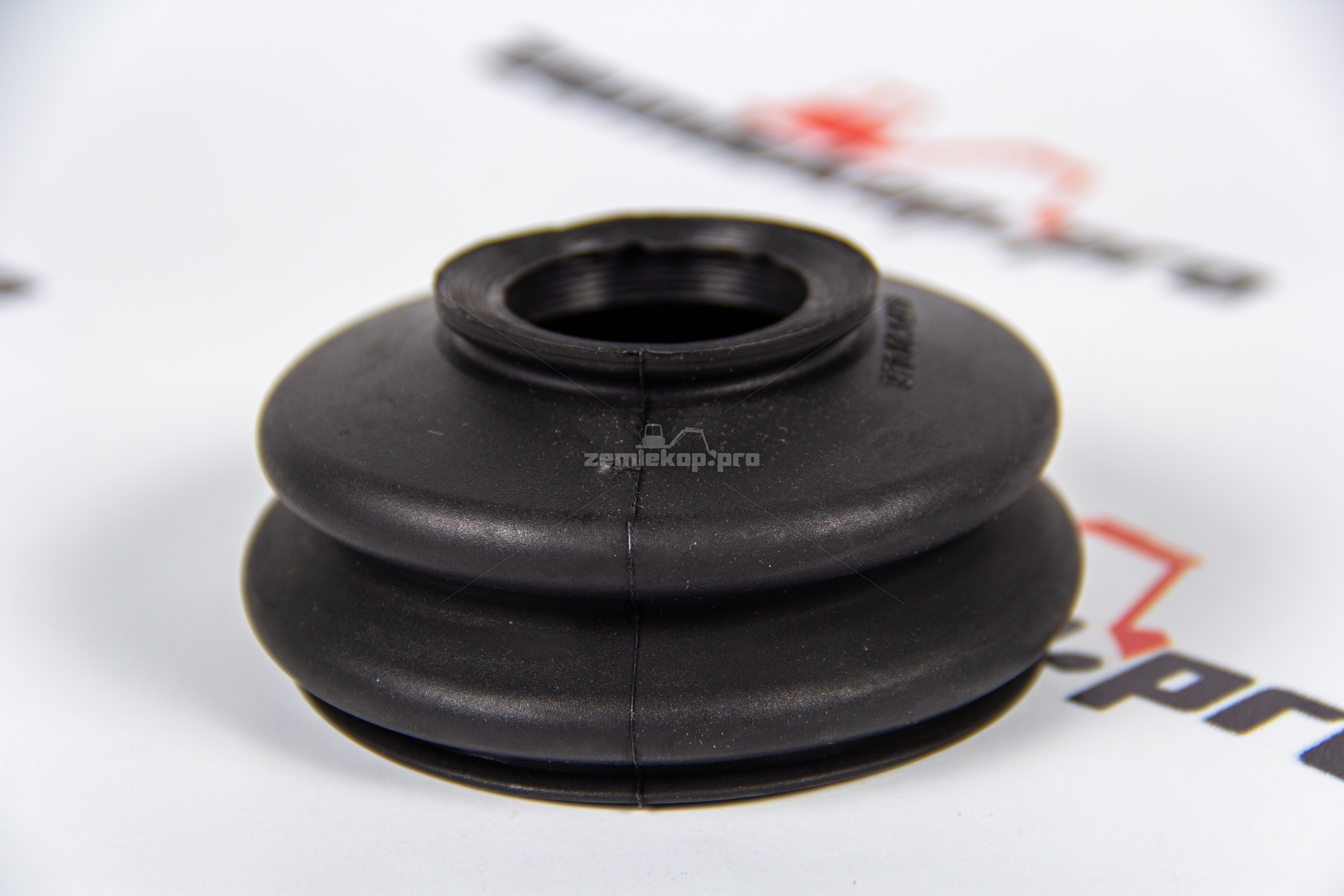 970.06.044.01 Пыльник DANA