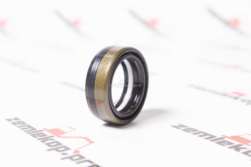 381523 Сальник