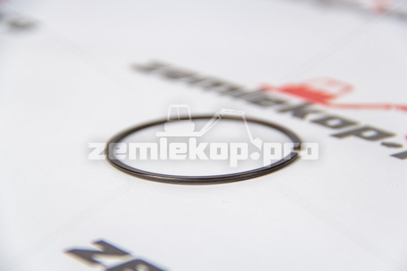 25031 Кольцо стопорное