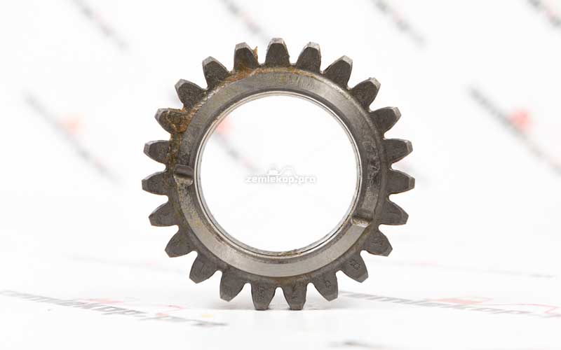 138970 Шестерня